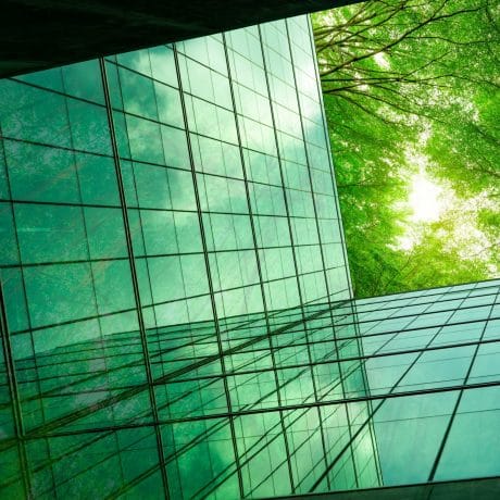 Eco-friendly,Building,In,The,Modern,City.,Green,Tree,Branches,With